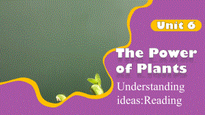 Unit6 Understanding ideas Reading（ppt课件）-2024新外研版七年级上册《英语》.pptx