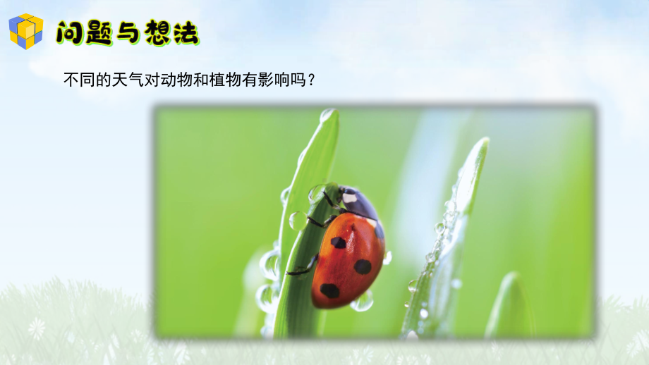 11《天气对动植物的影响》 ppt课件-2024新粤教粤科版一年级上册《科学》.pptx_第3页