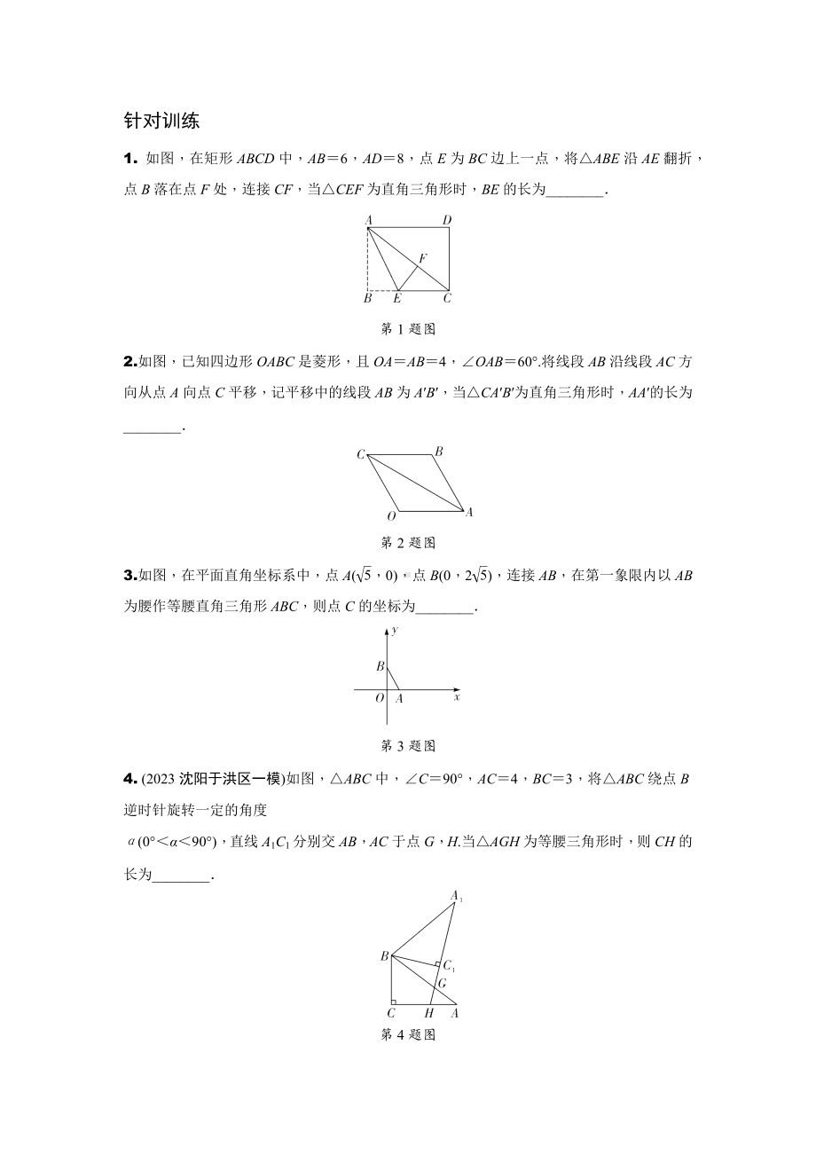 2024辽宁中考数学二轮专题训练 题型二多解题(含答案).docx_第3页