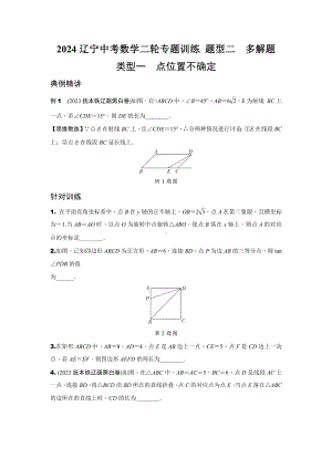 2024辽宁中考数学二轮专题训练 题型二多解题(含答案).docx