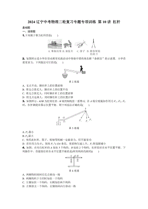 2024辽宁中考物理二轮复习专题专项训练 第10讲 杠杆 (含答案).docx