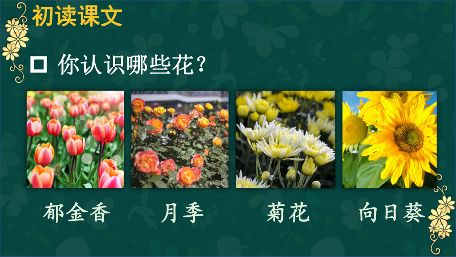 部编版六年级语文上册《花之歌》教材课件.ppt_第2页