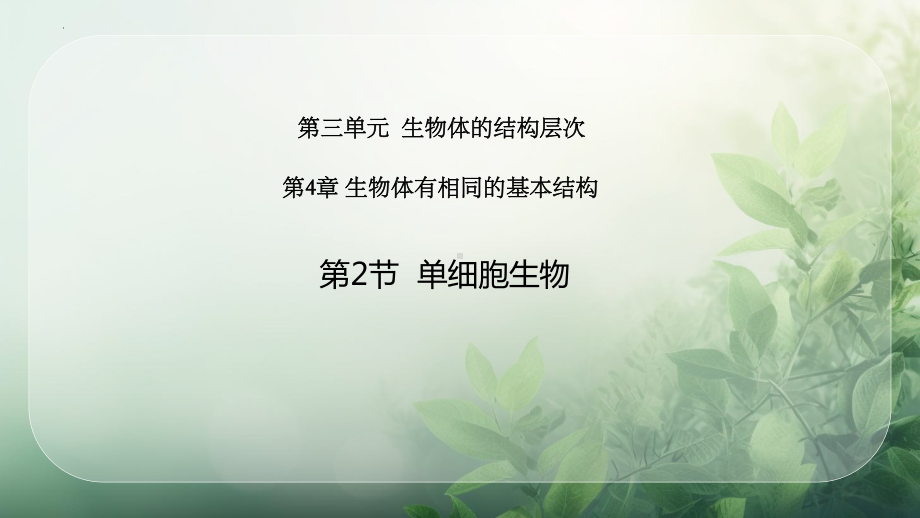 4.2单细胞生物ppt课件-2024新苏科版七年级上册《生物》.pptx_第1页