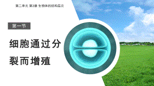 2.3.1细胞通过分裂而增殖ppt课件-2024新北师大版七年级上册《生物》.pptx