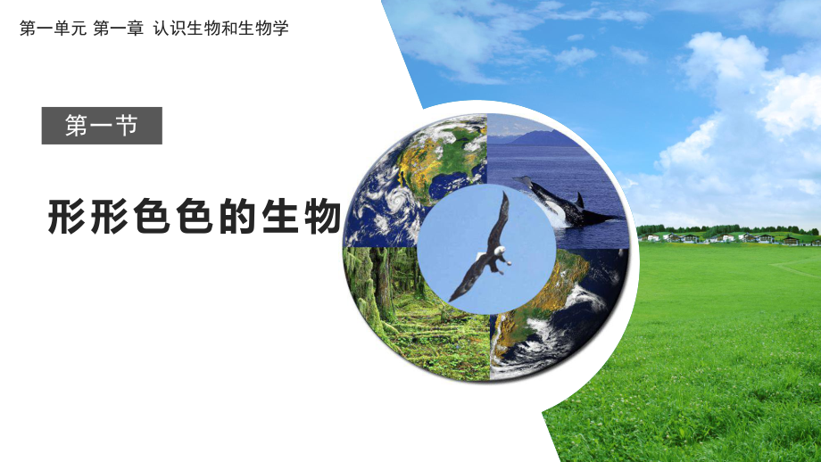 1.1.1形形色色的生物ppt课件-2024新北师大版七年级上册《生物》.pptx_第1页