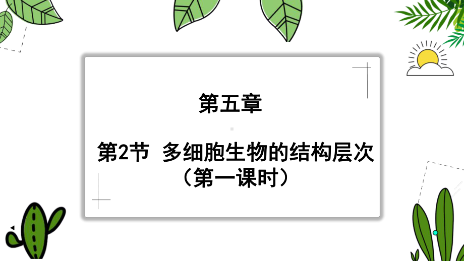 5.2.1 多细胞生物的结构层次（第一课时）ppt课件-2024新苏科版七年级上册《生物》.pptx_第1页