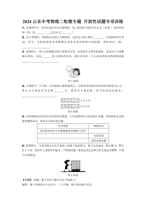 2024山东中考物理二轮微专题 开放性试题专项训练(含答案).docx