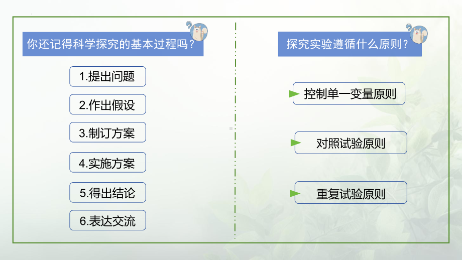 1.1.2 跨学科实践活动——自制水族箱饲养金鱼(第3课时)ppt课件-2024新苏科版七年级上册《生物》.pptx_第2页