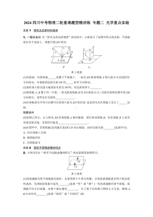 2024四川中考物理二轮重难题型精讲练 专题二 光学重点实验 （含答案）.docx