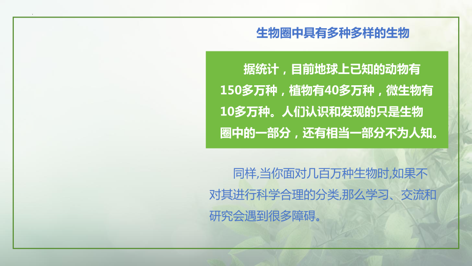 4.6.2生物的分类ppt课件-2024新苏科版七年级上册《生物》.pptx_第3页