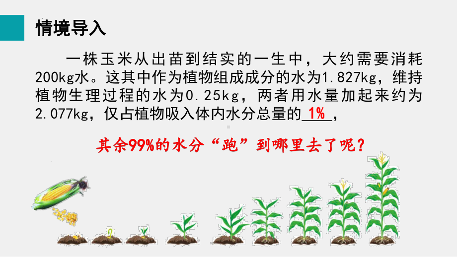 4.5蒸腾作用ppt课件-2024新北师大版七年级上册《生物》.pptx_第2页