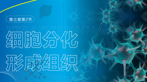 3.2细胞分化形成组织ppt课件-2024新苏科版七年级上册《生物》.pptx