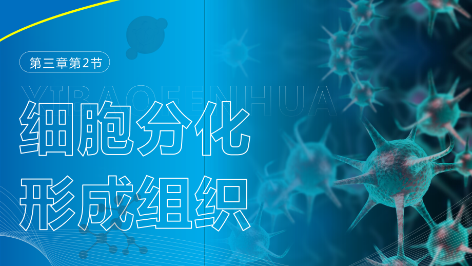 3.2细胞分化形成组织ppt课件-2024新苏科版七年级上册《生物》.pptx_第1页