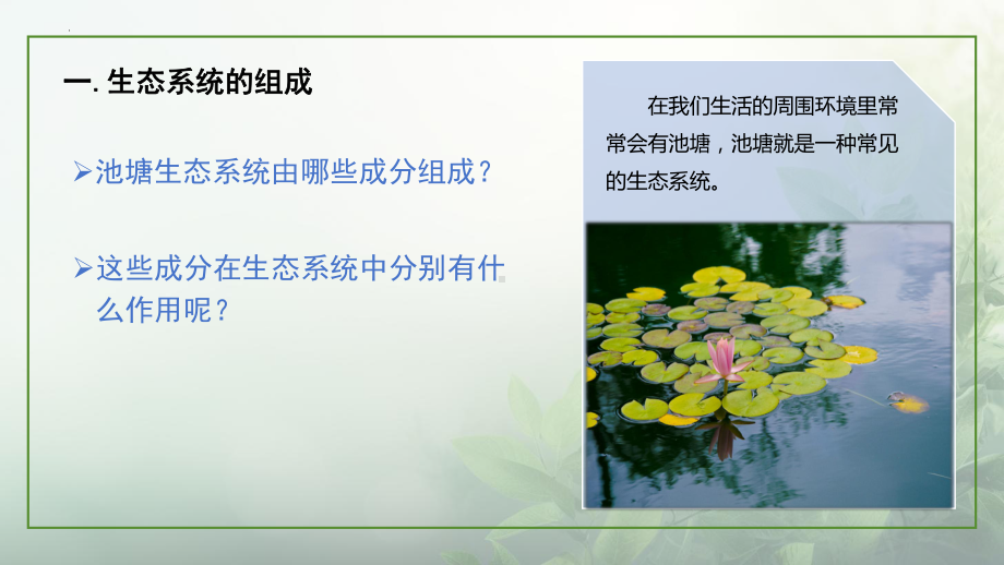 2.3.1多种多样的生态系统ppt课件-2024新苏科版七年级上册《生物》.pptx_第3页