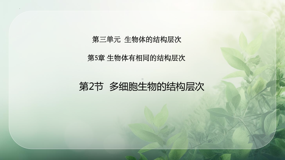 3.5.2多细胞生物的结构层次ppt课件-2024新苏科版七年级上册《生物》.pptx_第1页