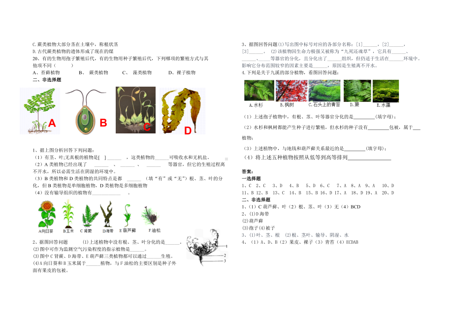 2.1藻类和植物都是能进行光合作用的生物测试题-2024新济南版七年级上册《生物》.docx_第2页