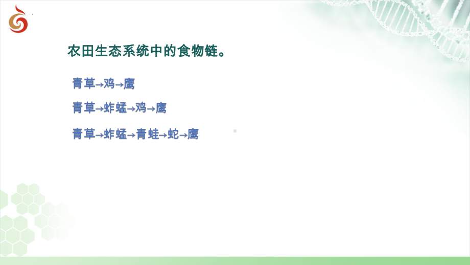 3.2生态系统中不同生物之间的食物关系（第2课时）ppt课件-2024新苏科版七年级上册《生物》.pptx_第3页