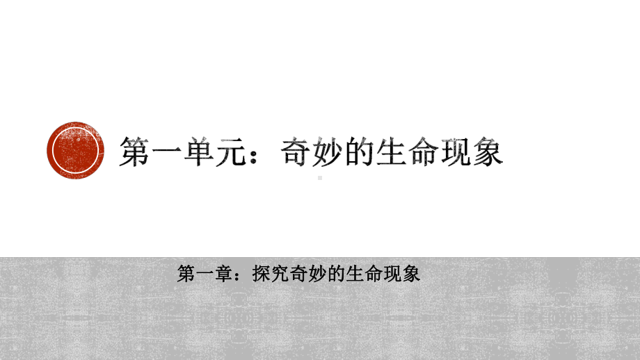 2024新济南版七年级上册《生物》期中复习ppt课件.pptx_第2页