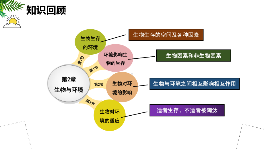 3.1.1 多种多样的生态系统（第一课时）ppt课件-2024新苏科版七年级上册《生物》.pptx_第2页