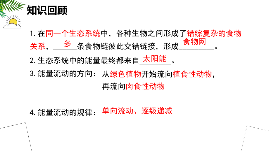 3.3 维护生态系统的稳定ppt课件-2024新苏科版七年级上册《生物》.pptx_第2页