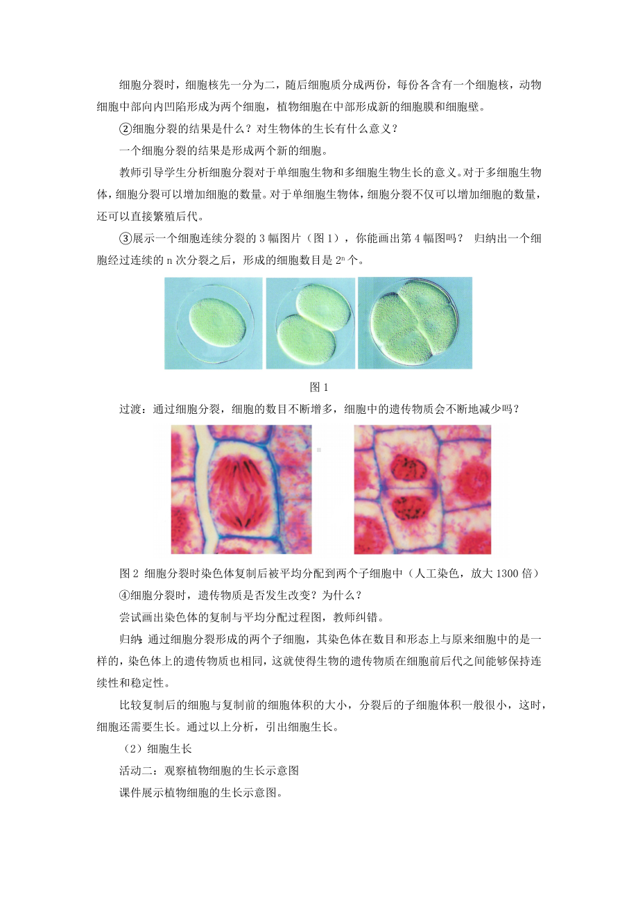 5.1细胞的分裂与分化（第1课时）教学设计-2024新苏科版七年级上册《生物》.docx_第2页