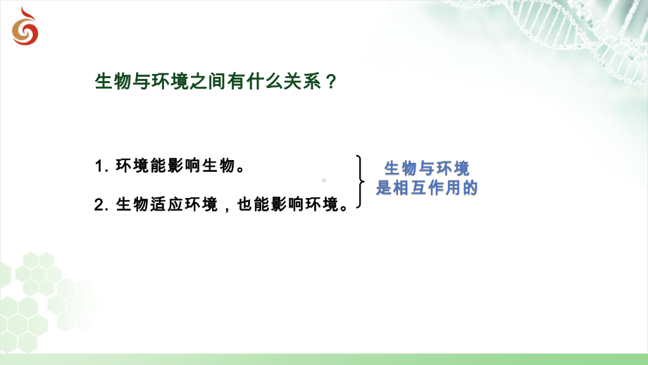 3.1多种多样的生态系统（第1课时）ppt课件-2024新苏科版七年级上册《生物》.pptx_第2页