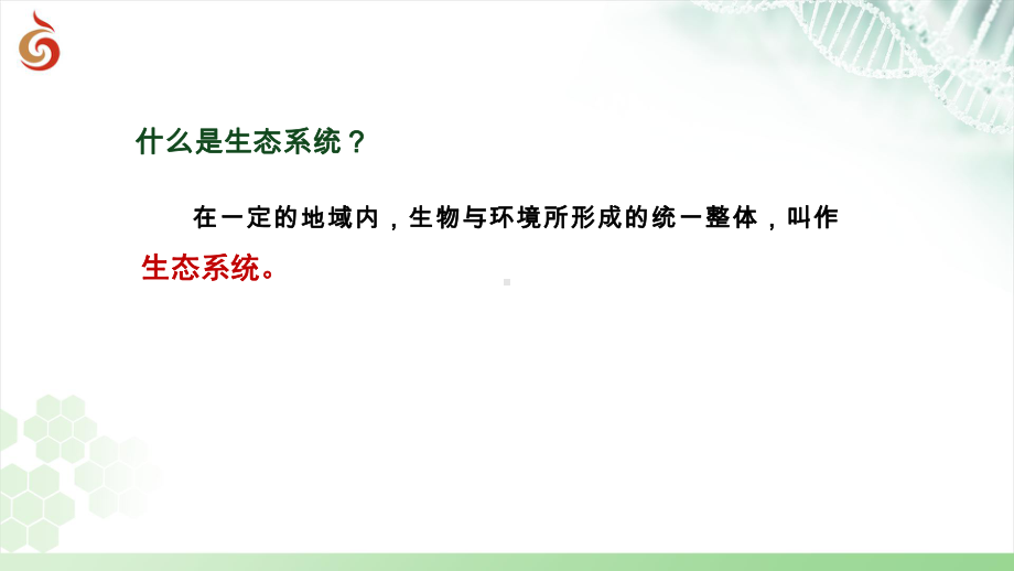 3.1多种多样的生态系统（第1课时）ppt课件-2024新苏科版七年级上册《生物》.pptx_第3页