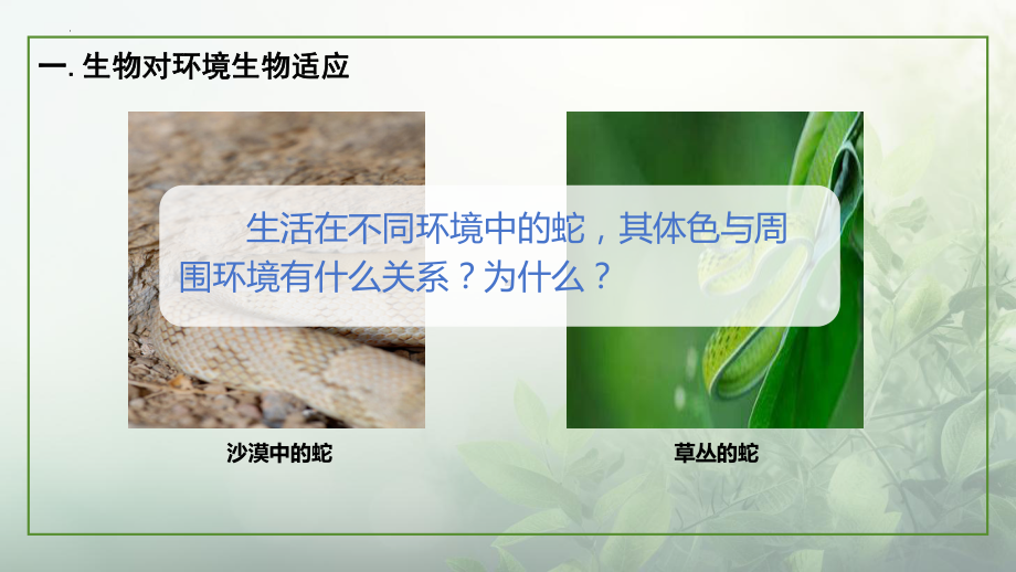 2.2.2生物对环境的适应和影响ppt课件 -2024新苏科版七年级上册《生物》.pptx_第3页