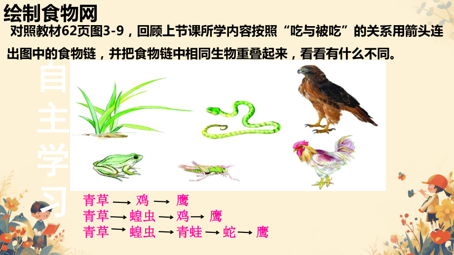 3.2生态系统中不同生物之间的食物关系（第二课时）ppt课件-2024新苏科版七年级上册《生物》.pptx_第2页