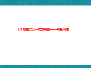 5.3 应用二元一次方程组知识考点梳理（课件）北师大版数学八年级上册.pptx