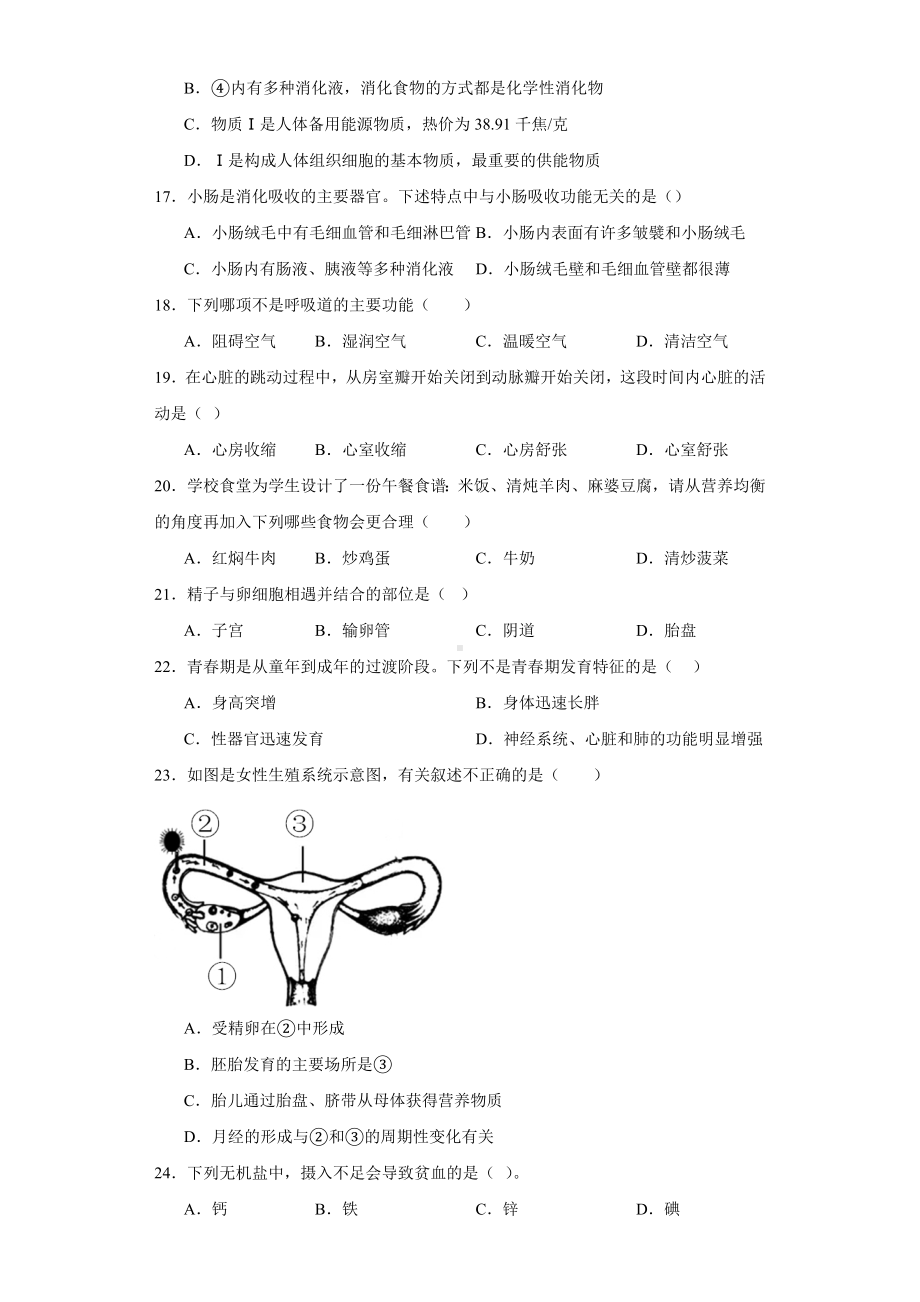 2023-2024学年人教版七年级下册生物期中综合训练（一）.docx_第3页