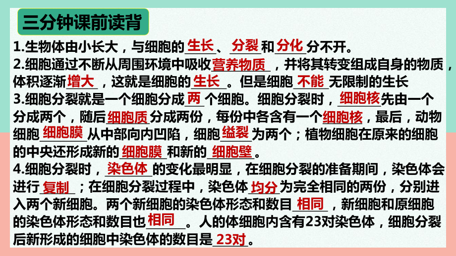 1.3.2动物体的结构层次ppt课件-2024新人教版七年级上册《生物》.pptx_第1页