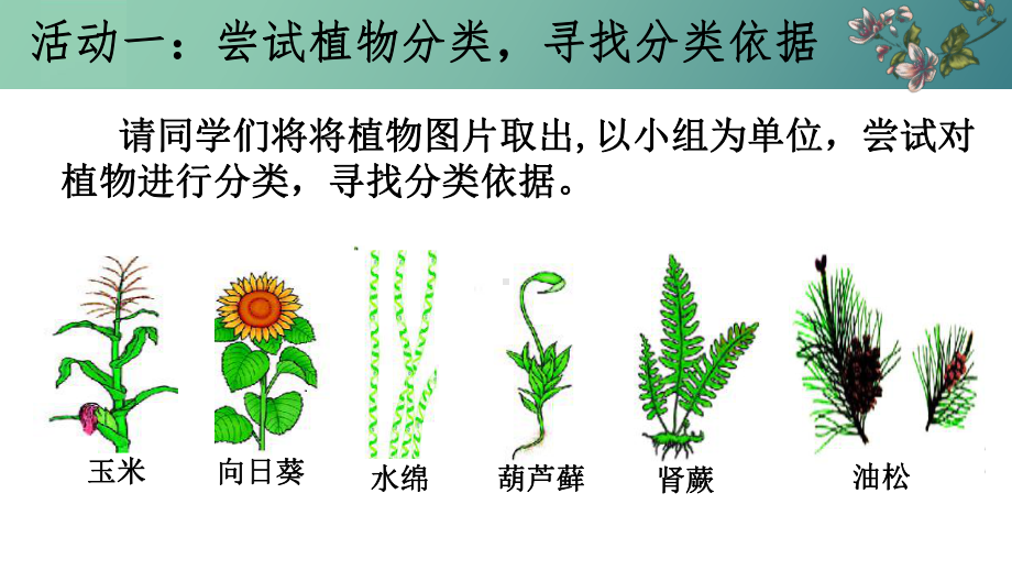 2.4.1尝试对生物进行分类ppt课件-2024新人教版七年级上册《生物》.pptx_第2页