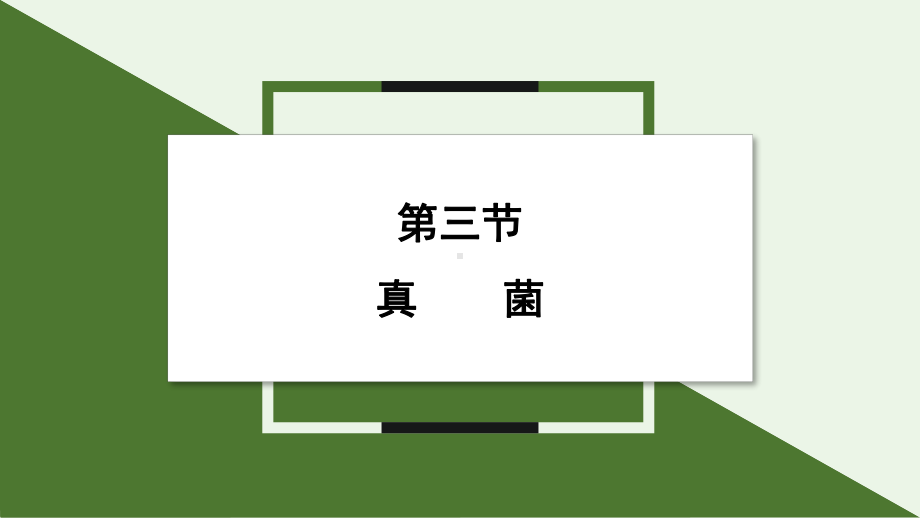 2.3.3 真菌 ppt课件-2024新人教版七年级上册《生物》.pptx_第1页