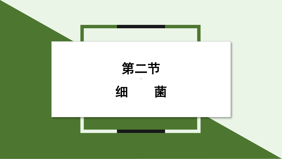 2.3.2 细菌ppt课件-2024新人教版七年级上册《生物》.pptx_第1页