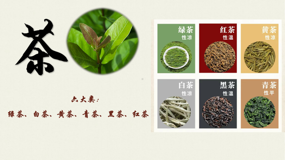 第一单元第二课制茶具明茶礼 ppt课件-2024新岭南美版七年级上册《美术》.pptx_第3页