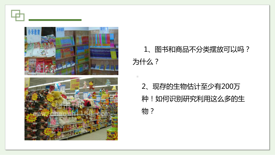 2.4.1 尝试对生物进行分类 ppt课件-2024新人教版七年级上册《生物》.pptx_第3页