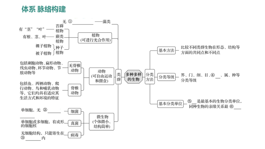 2024新人教版七年级上册《生物》第二单元单元复习ppt课件.pptx_第2页