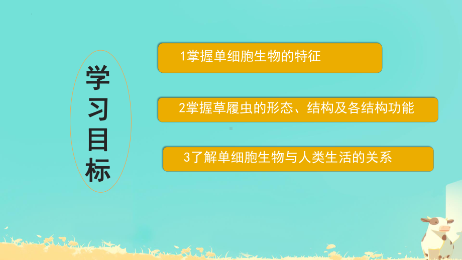 3.4单细胞生物ppt课件-2024新人教版七年级上册《生物》.pptx_第3页