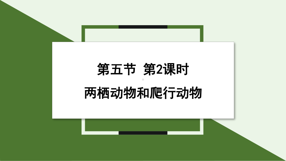 2.2.2第2课时 两栖动物和爬行动物 ppt课件-2024新人教版七年级上册《生物》.pptx_第1页