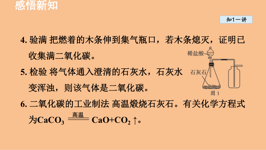 学生实验6 二氧化碳的实验室制取与性质（课件）鲁教版（2024）化学九年级上册.ppt_第3页