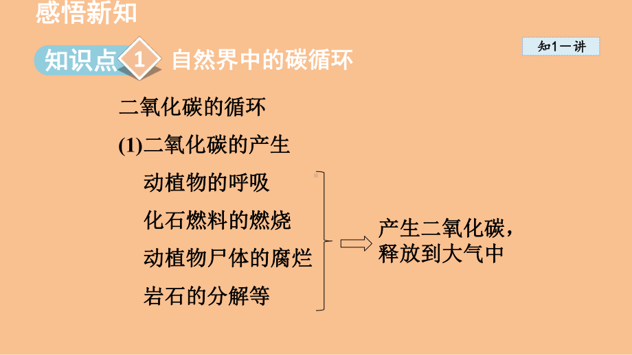 6.3 碳达峰与碳中和（课件）鲁教版（2024）化学九年级上册.ppt_第2页