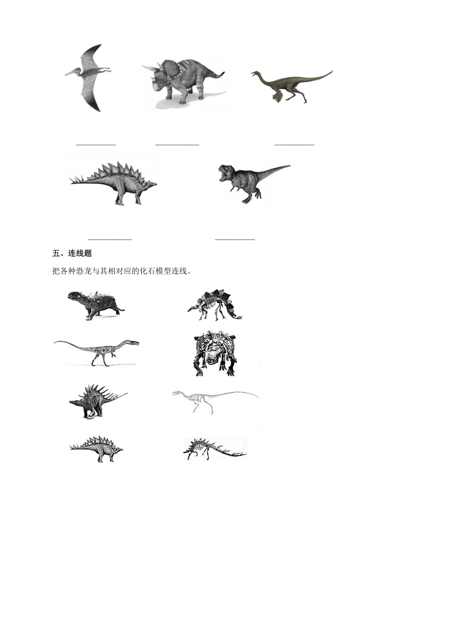 3.8《消逝的恐龙》练习（含答案）-2024新苏教版六年级上册《科学》.doc_第2页