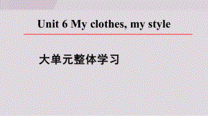 Unit 6 My clothes, my style 大单元整体学习课件 2024-2025学年译林版七年级上册.ppt