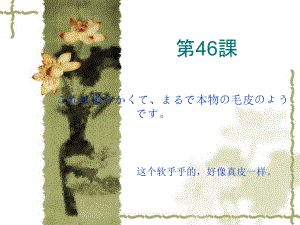 第46课 これは柔らかくてまるで本物の毛皮のようです 单词文法课件-2023-2024学年高中日语新版标准日本语初级下册.pptx