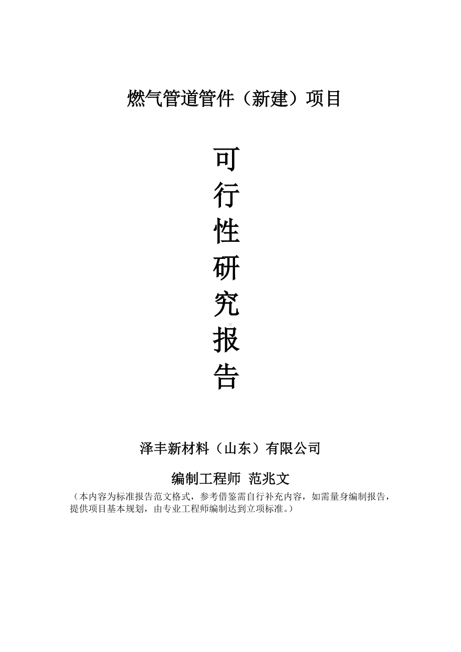 燃气管道管件建议书可行性研究报告备案可修改案例模板.doc_第1页