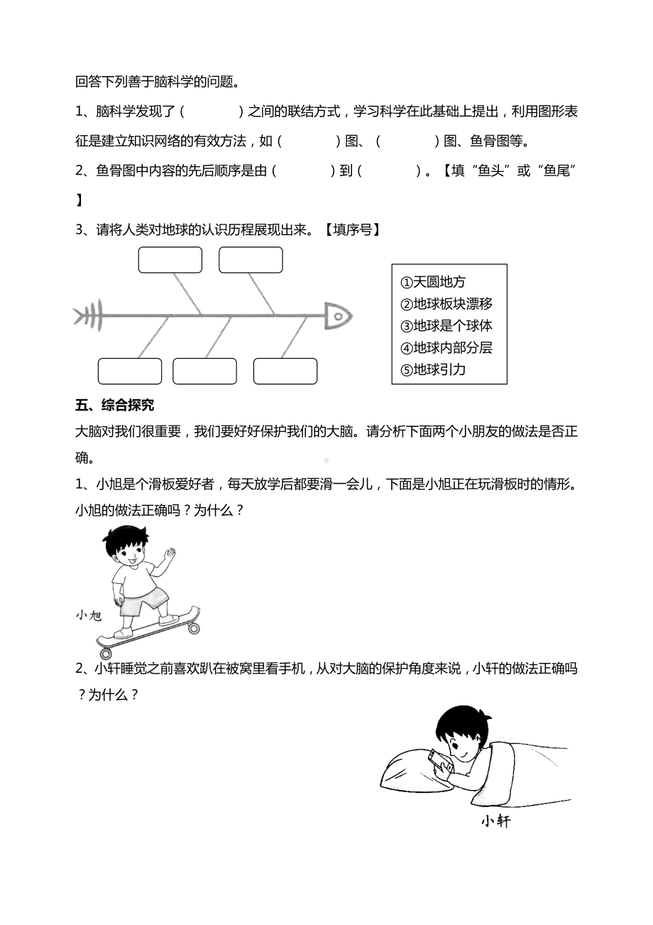 20大脑的开发与利用 试题（含答案解析）-2024新苏教版五年级上册《科学》.doc_第2页