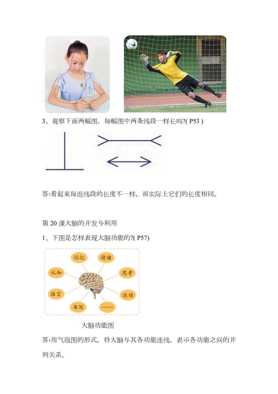 2024新苏教版五年级上册《科学》教材中问题解答-第5单元《人体“司令部”》.docx_第2页