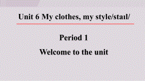 Unit 6 My clothes, my style Period 1 Welcome to the unit课件 2024-2025学年译林版七年级上册.ppt