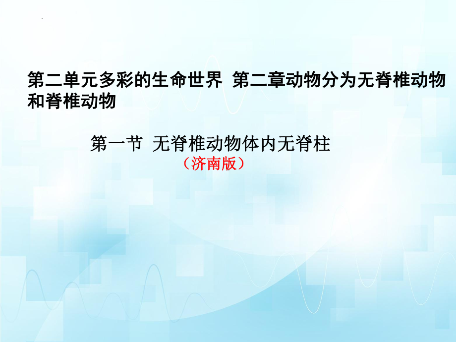 2.2.1无脊椎动物体内无脊柱ppt课件-2024新济南版七年级上册《生物》.pptx_第2页